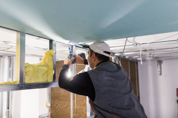 Best Types of Insulation in Lake Barrington, IL