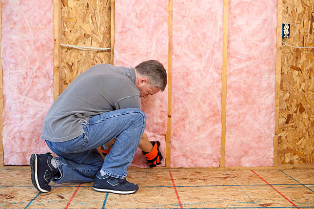 Types of Insulation We Offer in IL